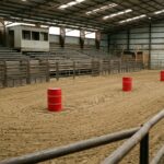 Las Vegas Teen Faces Adult Court for Alleged Horse Stabbing at Equestrian Event